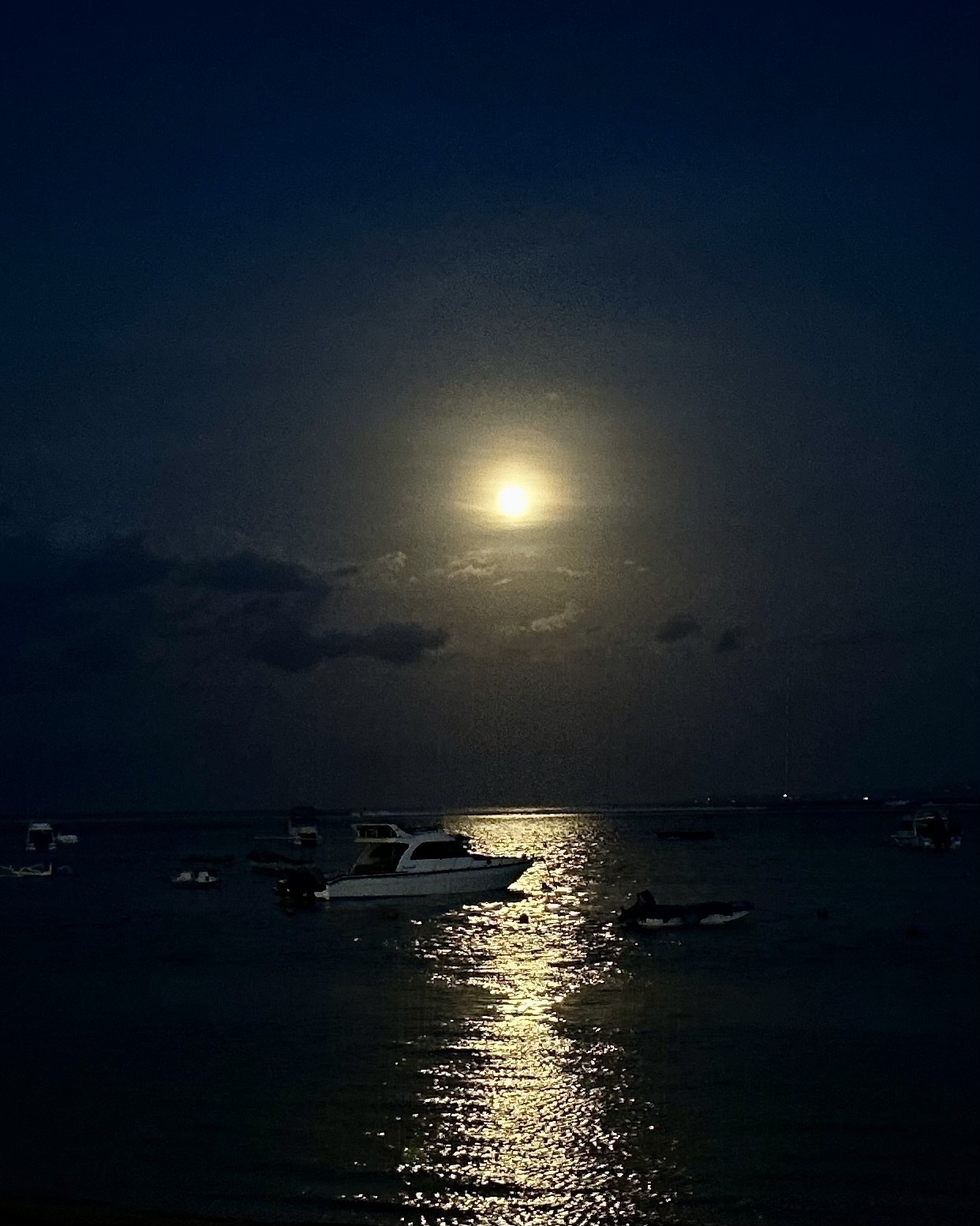 A moon over the ocean at night, with light reflected off the water. A boat is barely visible. 