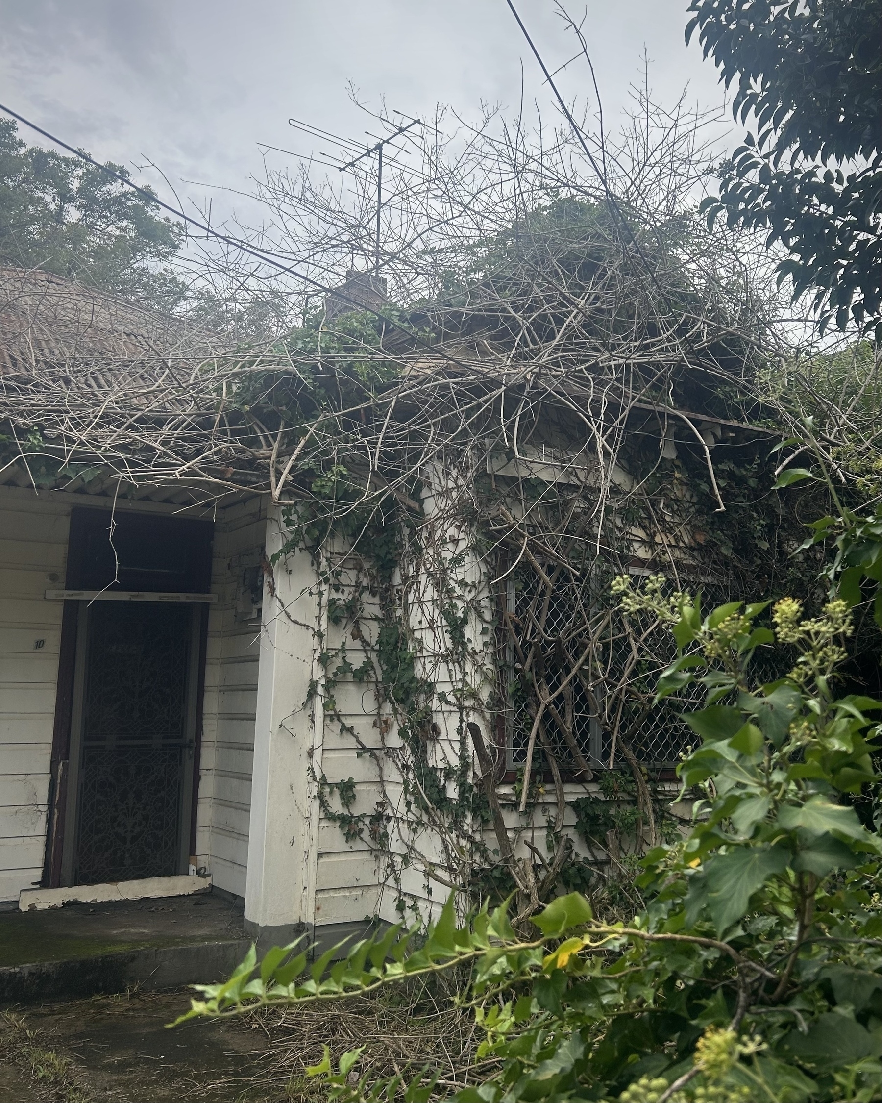 A house with huge amounts of overgrowth around a window and on the ceiling. The path to the door appears to have been cleared recently. 